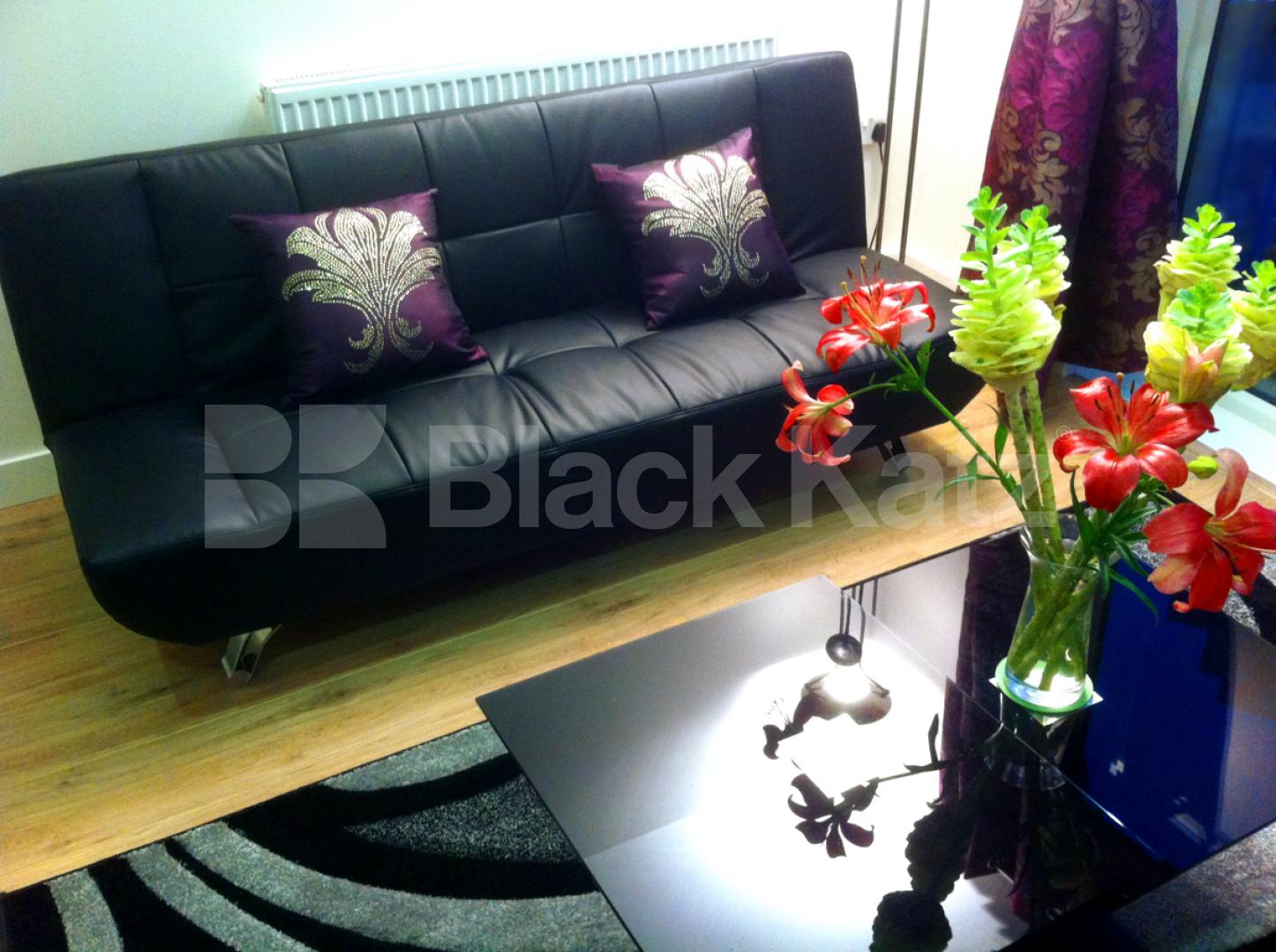 			NEW INSTRUCTION, 1 Bedroom, 1 bath, 1 reception Apartment			 Hudson Building Deal's Gateway, Greenwich